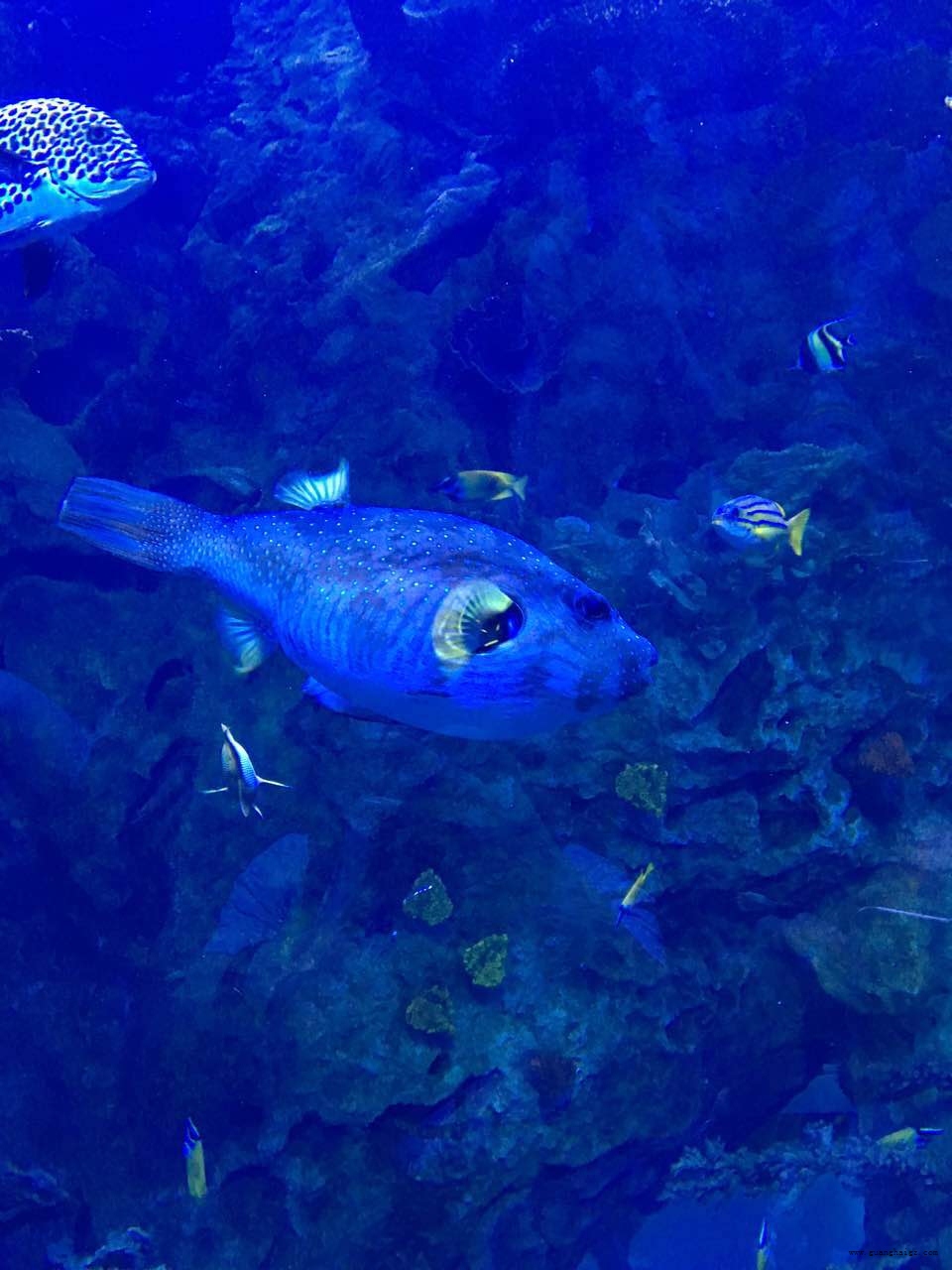 402cc永利集团(CHINA)官方网站-首页|NO1