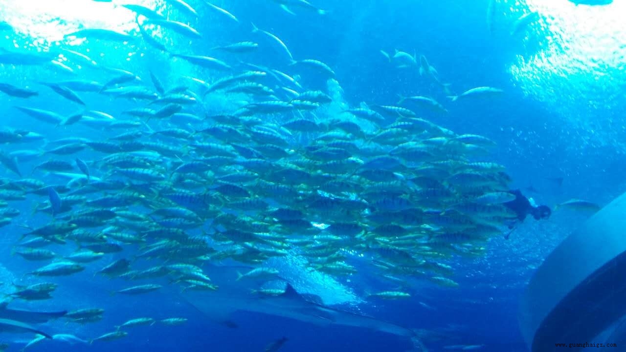 402cc永利集团(CHINA)官方网站-首页|NO1