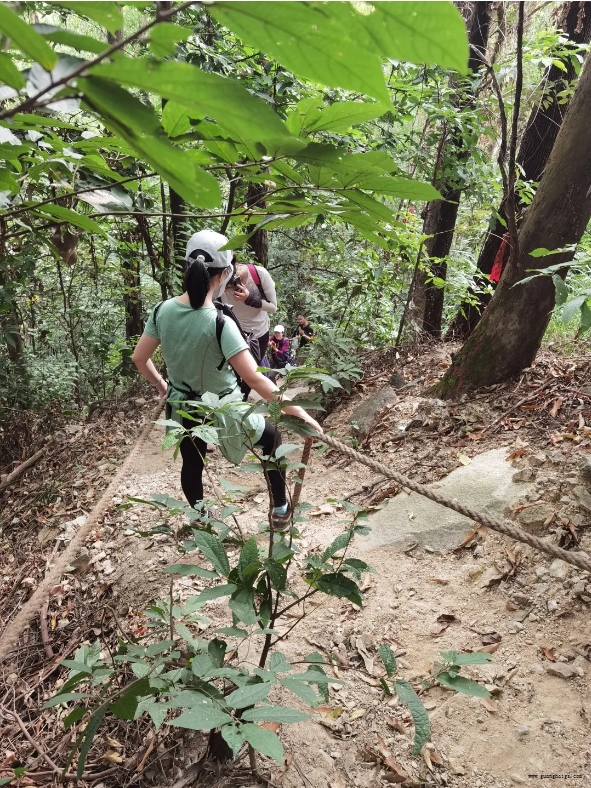 402cc永利集团(CHINA)官方网站-首页|NO1